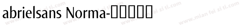 abrielsans Norma字体转换